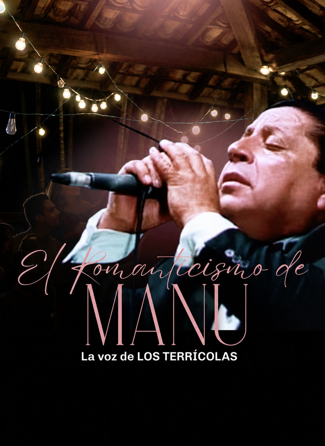 Nombre artista